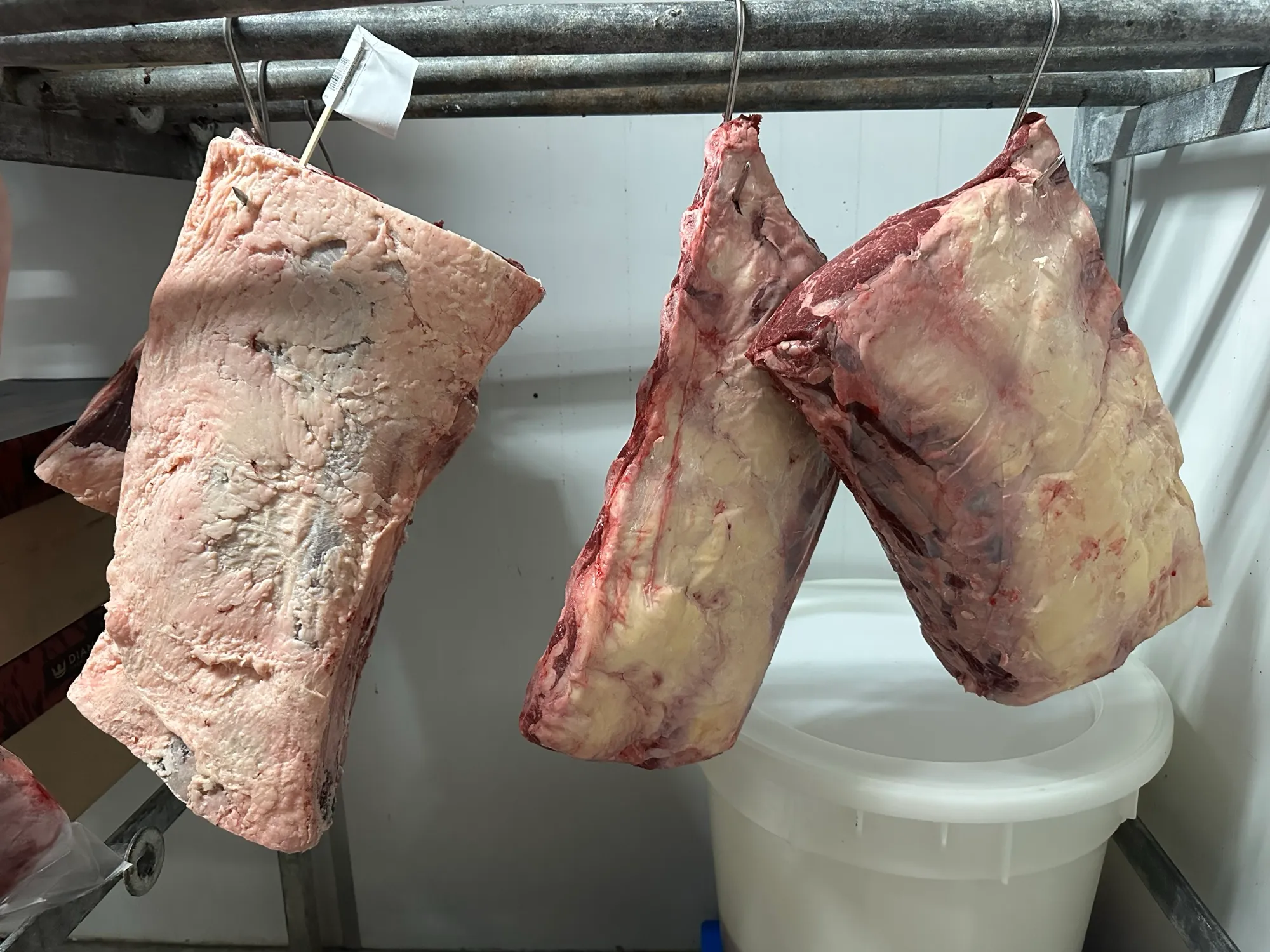 Beef primals hanging in the dry-ageing cabinet